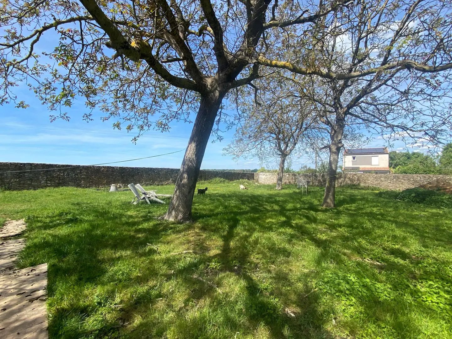 Maison à louer, 17m², Saint-André-de-Lidon