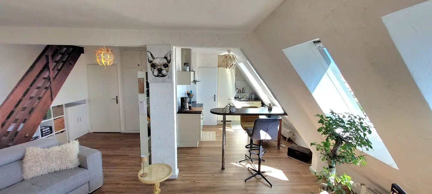 Appartement à vendre, 60m², Colmar