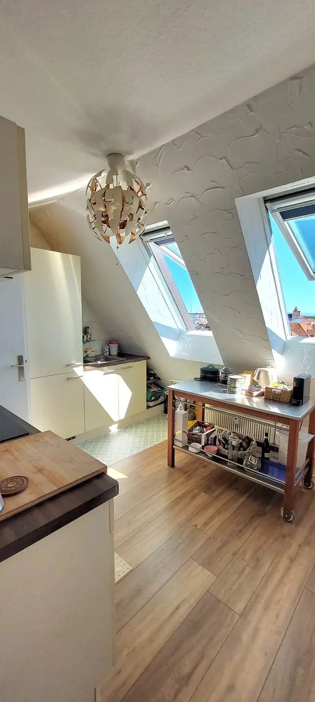 Appartement à vendre, 60m², Colmar