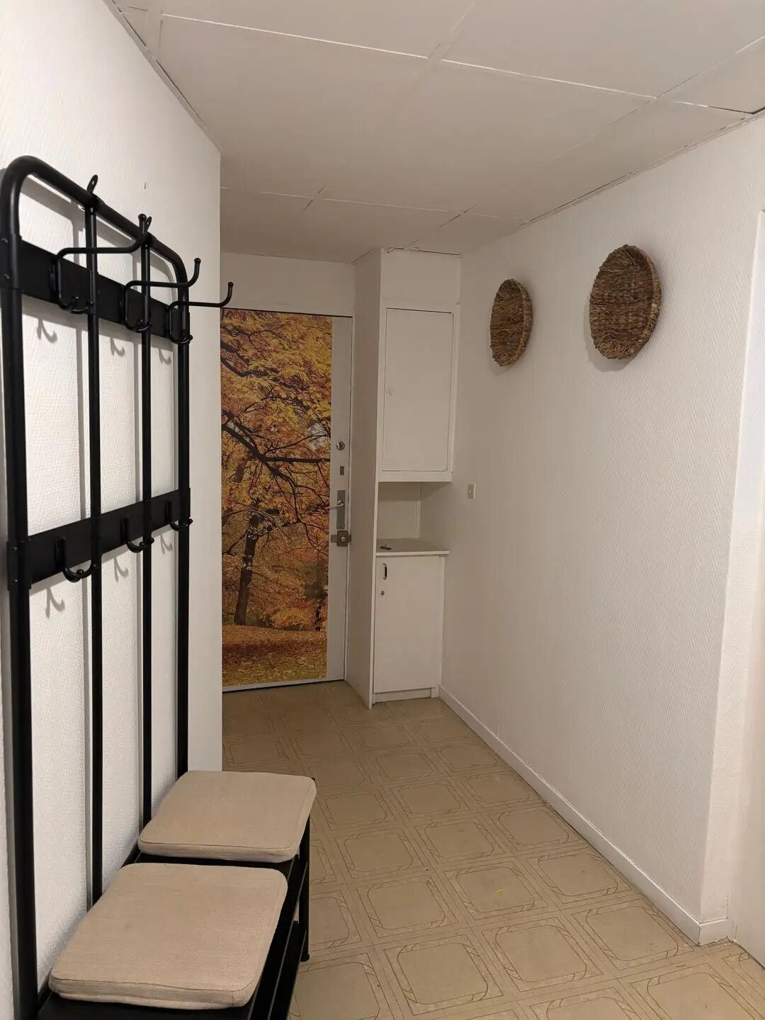 Appartement à louer, 45m², Anglet