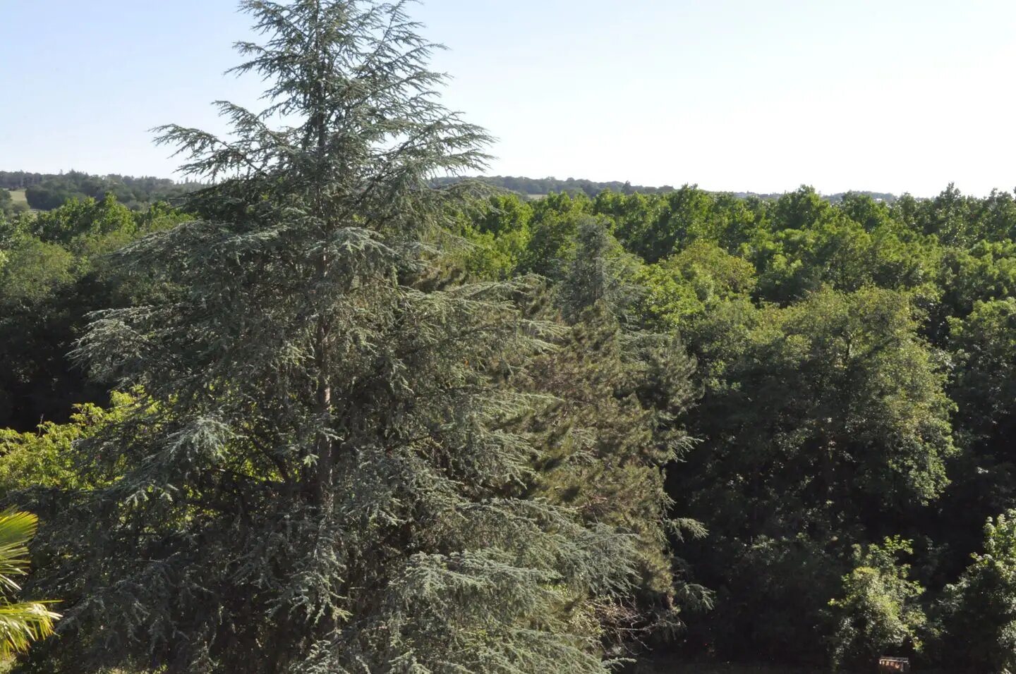 Maison à vendre, 250m², Amboise