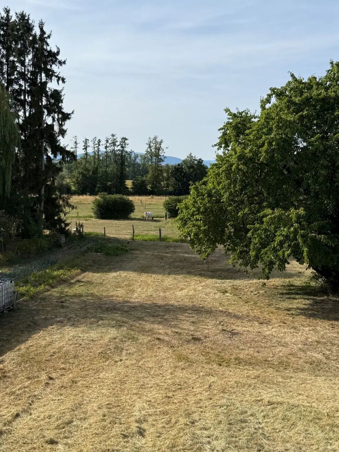 Maison à louer, 106m², Zillisheim