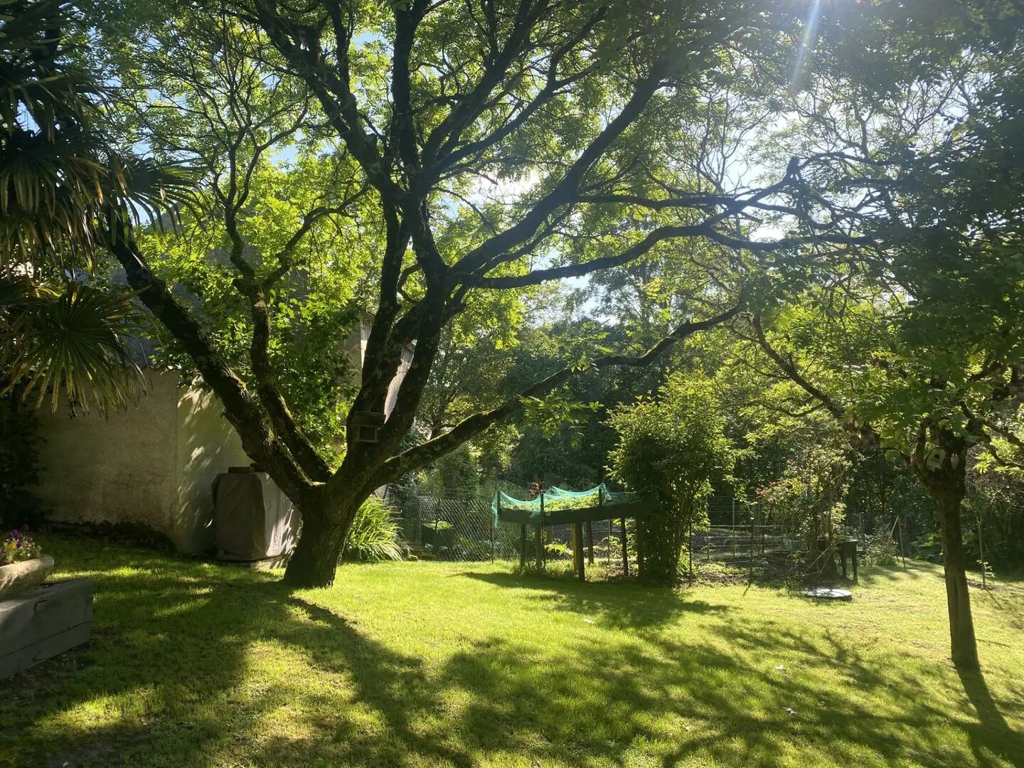 Maison à vendre, 170m², Cheillé