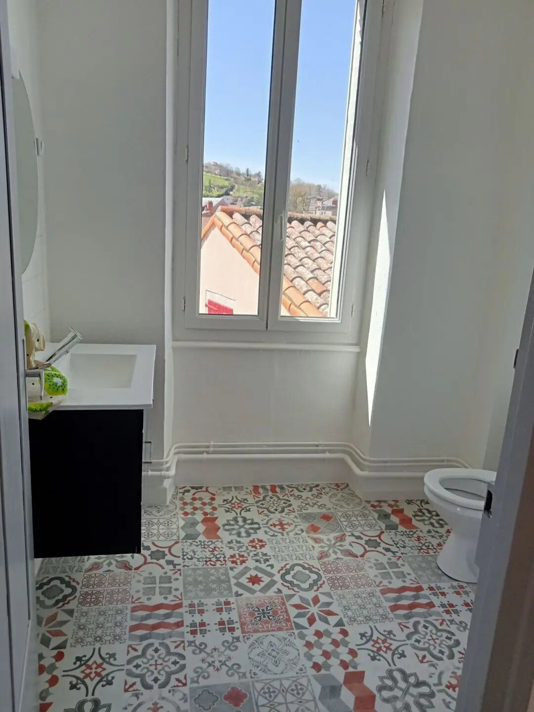Maison à vendre, 520m², Saint-Affrique