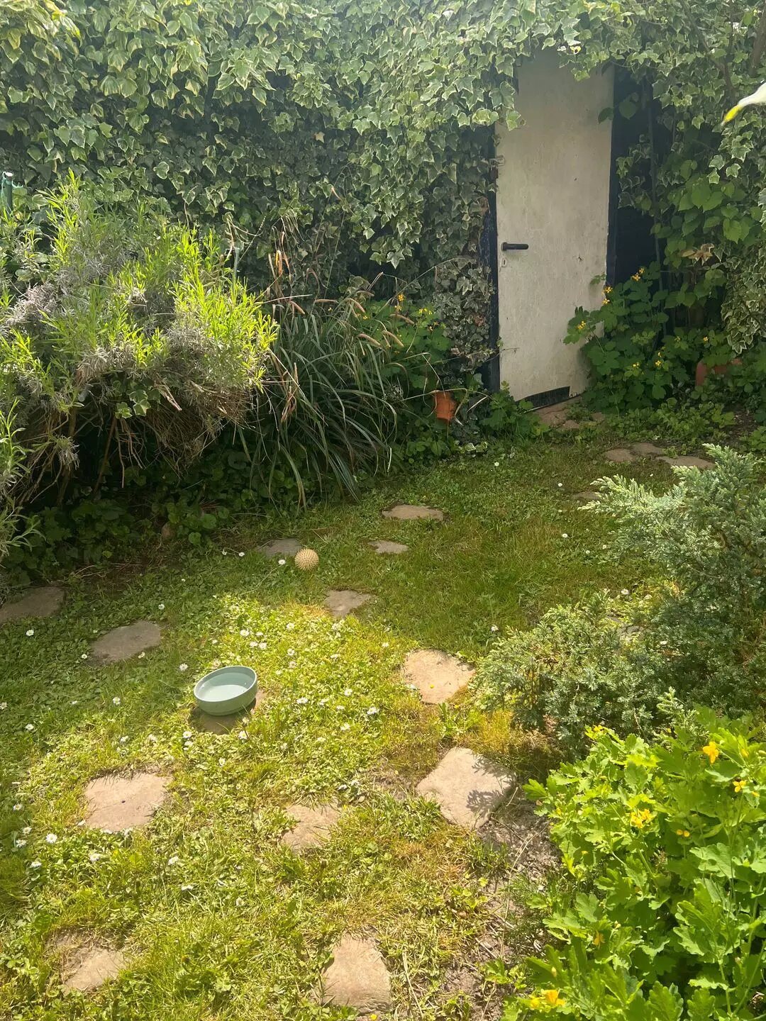 Appartement à vendre, 35m², Choisy-le-Roi