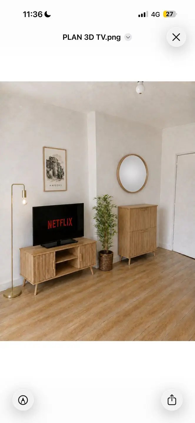 Appartement à louer, 24m², Angers