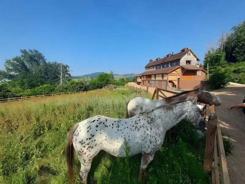 Maison à louer, 105m², Saint-Igny-de-Roche