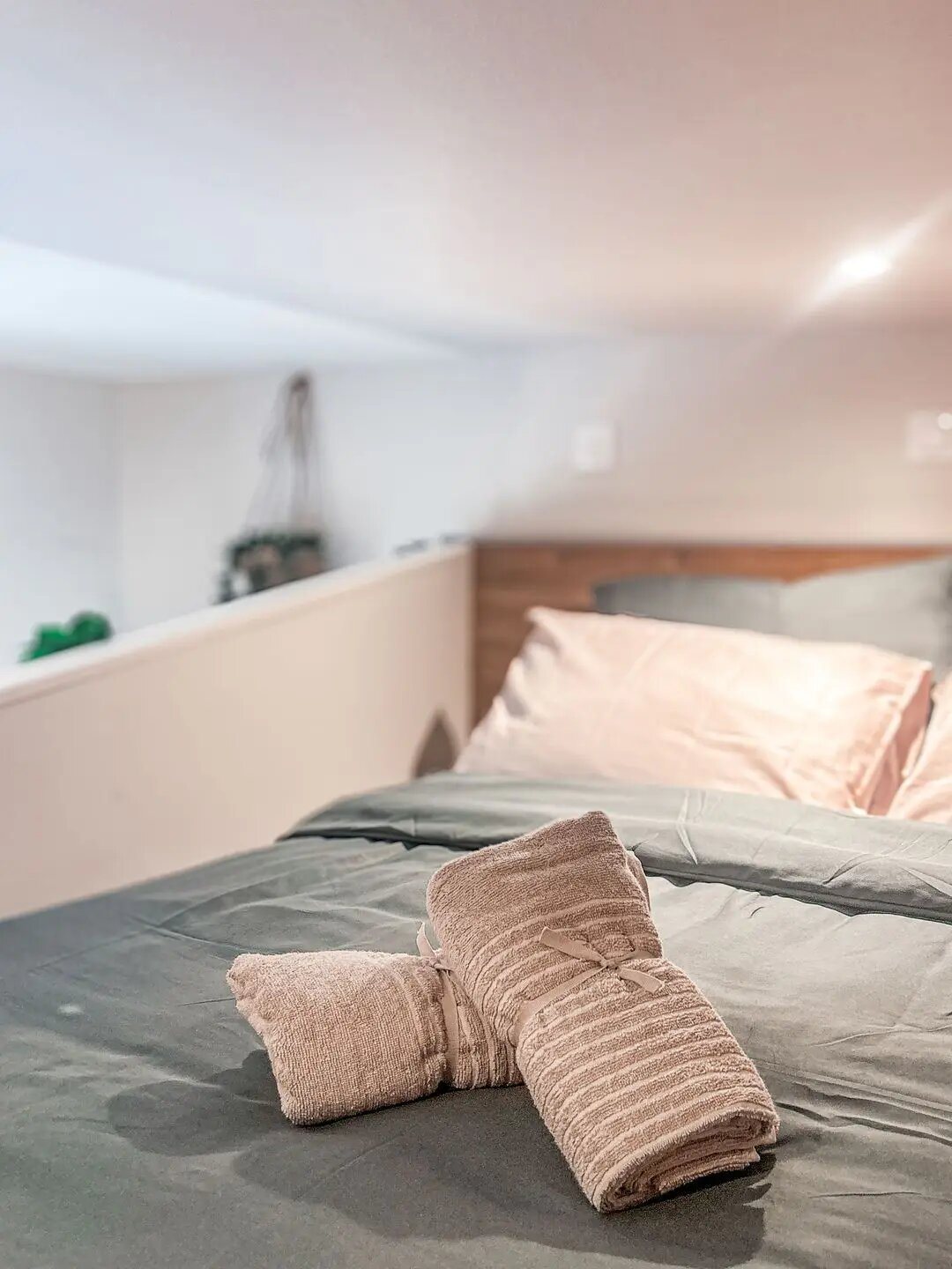 Appartement à louer, 15m², Castres