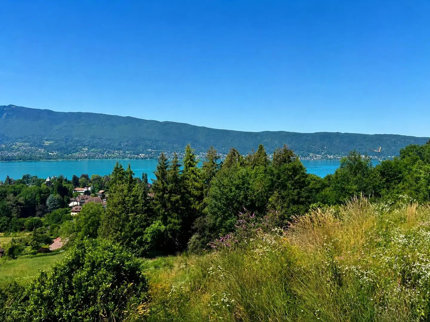 Maison à vendre, 418m², Menthon-Saint-Bernard
