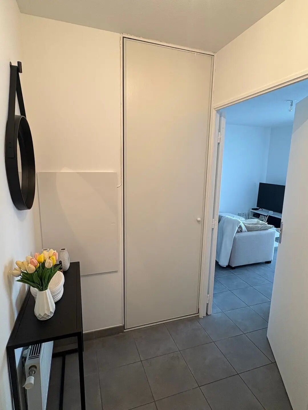 Appartement à louer, 52m², Meyzieu