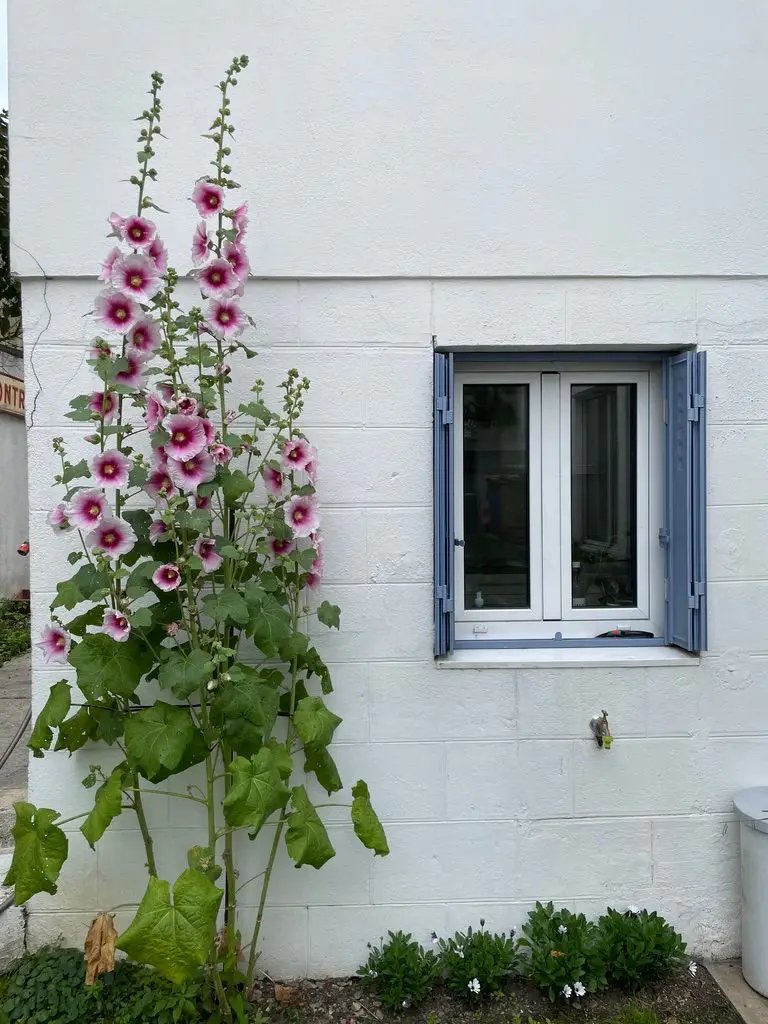 Maison à vendre, 115m², Montreuil