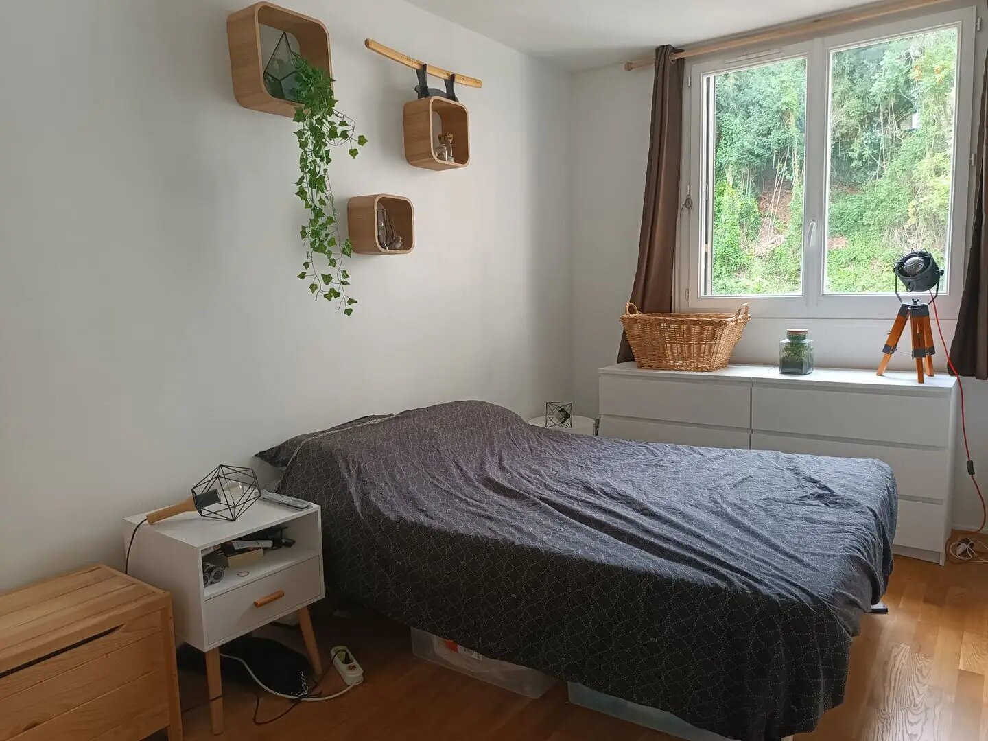 Appartement à louer, 60m², Sèvres