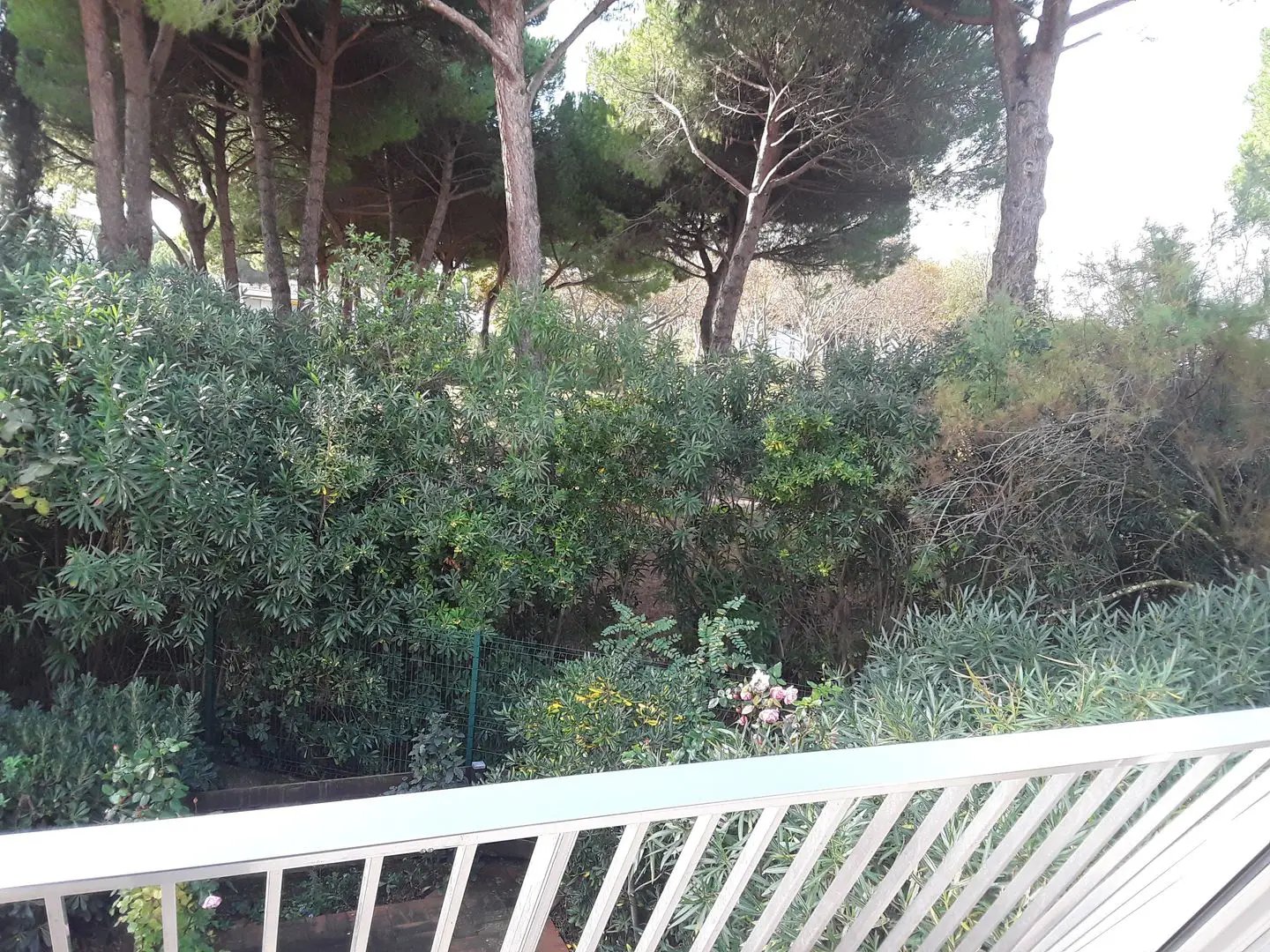 Appartement à vendre, 27m², La Grande-Motte