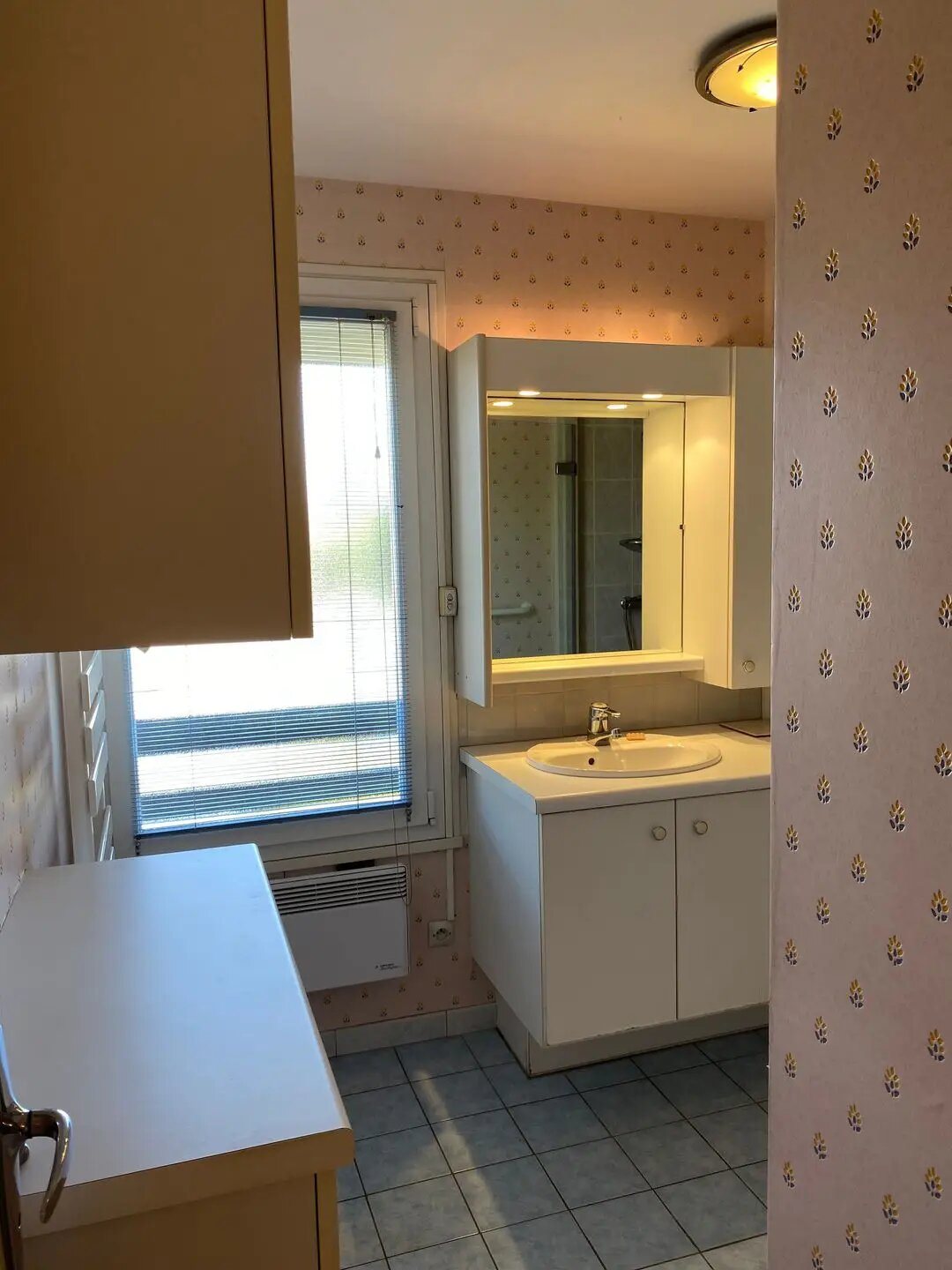 Maison à vendre, 935m², Barbazan-Debat