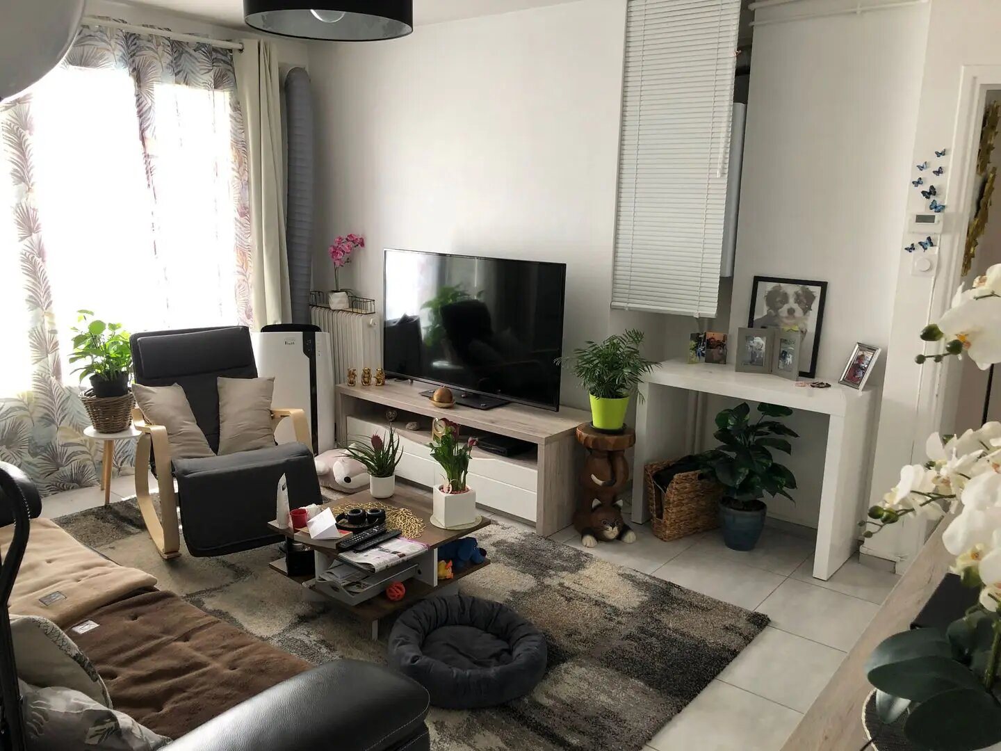 Appartement à louer, 55m², Meylan