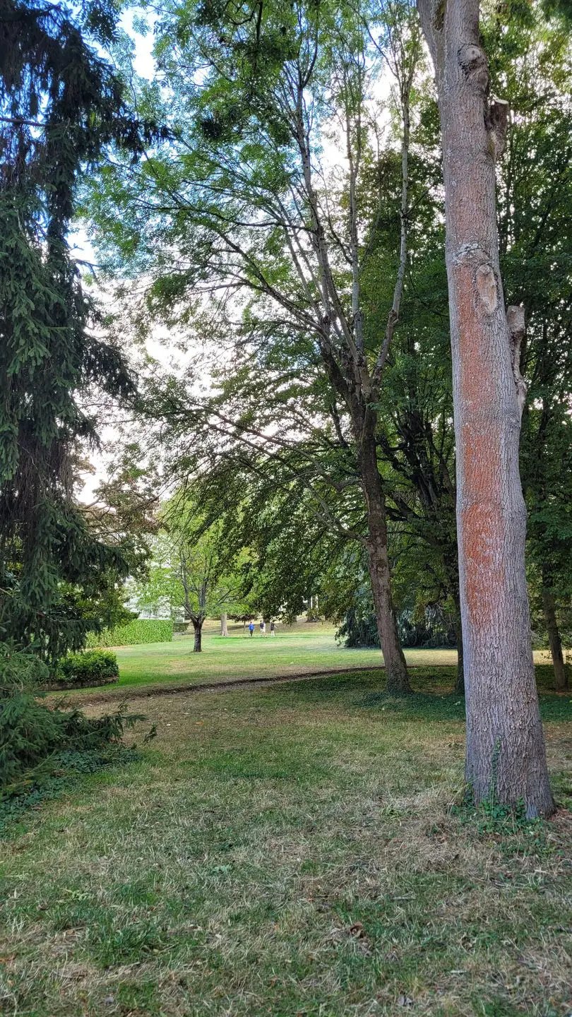 Appartement à louer, 68m², Châtenay-Malabry