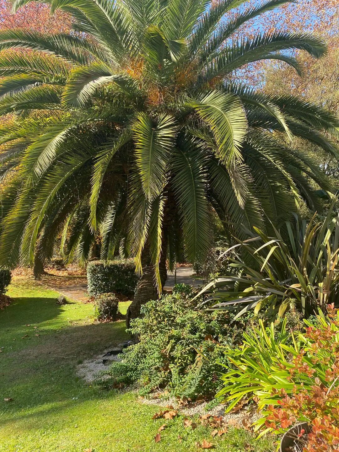 Maison à vendre, 151m², Pau