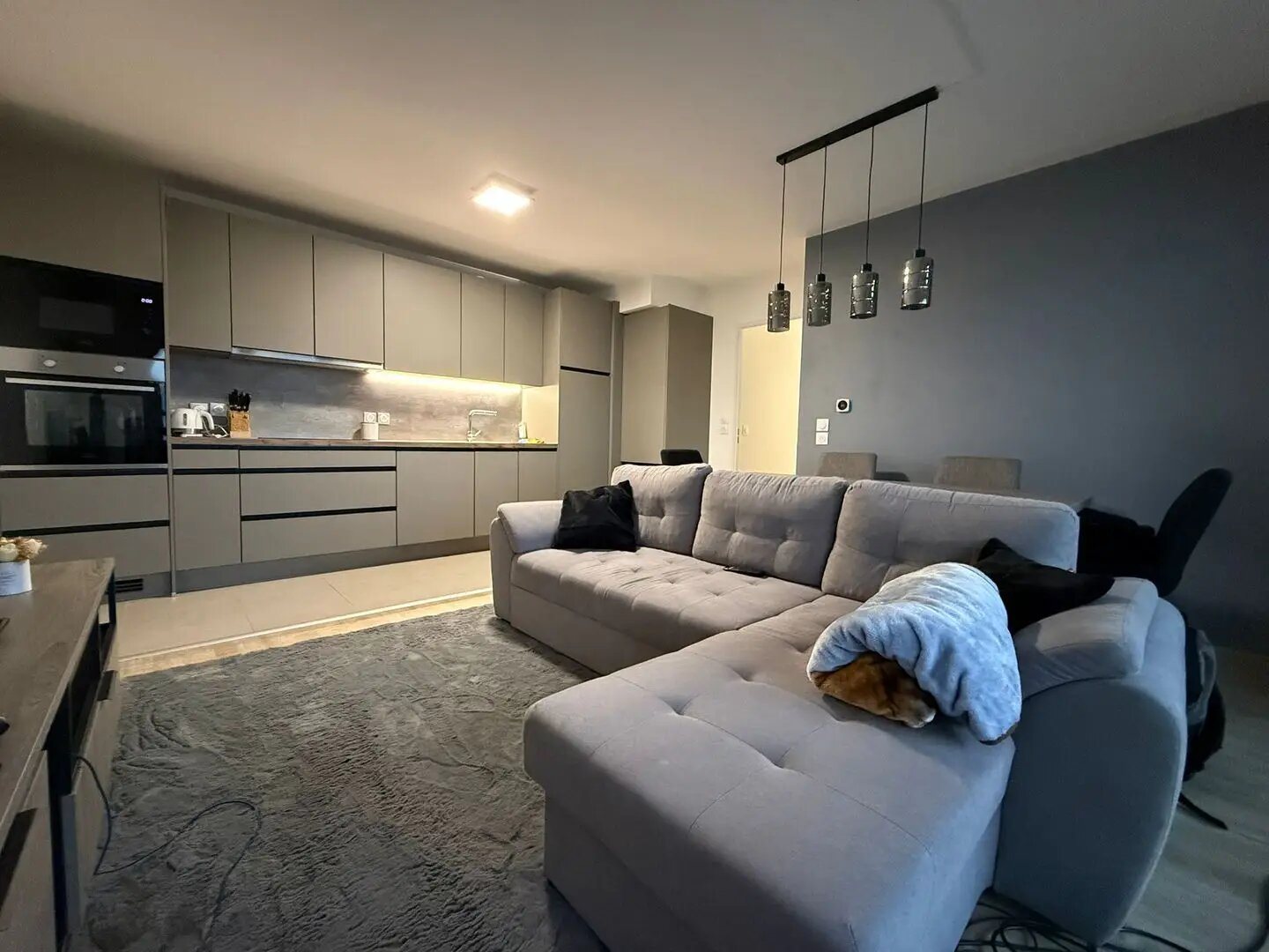 Appartement à louer, 57m², Etrembières
