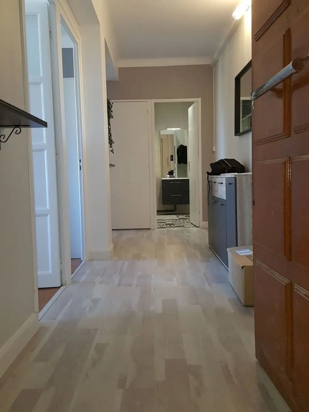 Appartement à vendre, 52m², Saint-Etienne