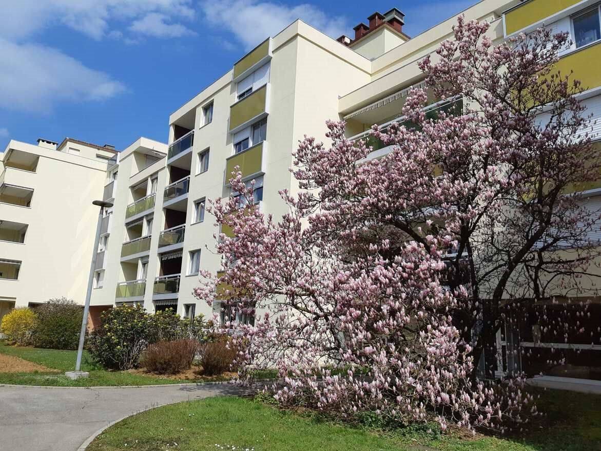 Appartement à louer, 28m², Besançon