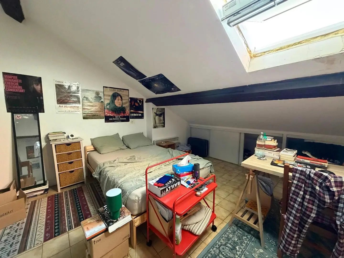 Appartement à louer, 20m², Villeurbanne
