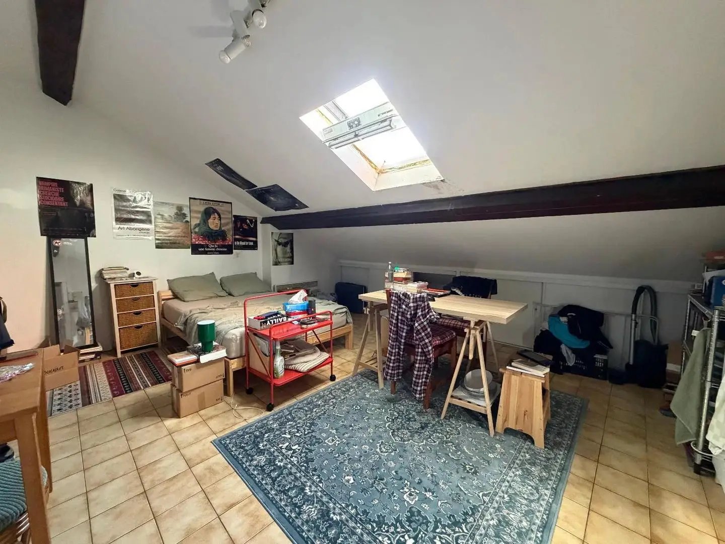 Appartement à louer, 20m², Villeurbanne