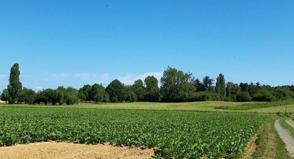 Maison à vendre, 105m², Saint-Rémy-lès-Chevreuse
