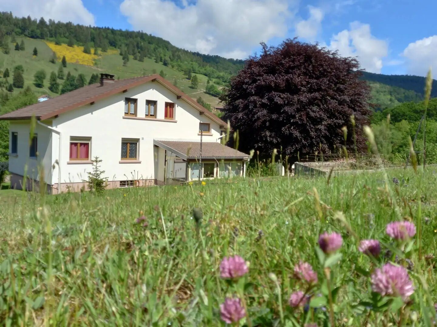 Maison à vendre, 130m², Saint-Maurice-sur-Moselle