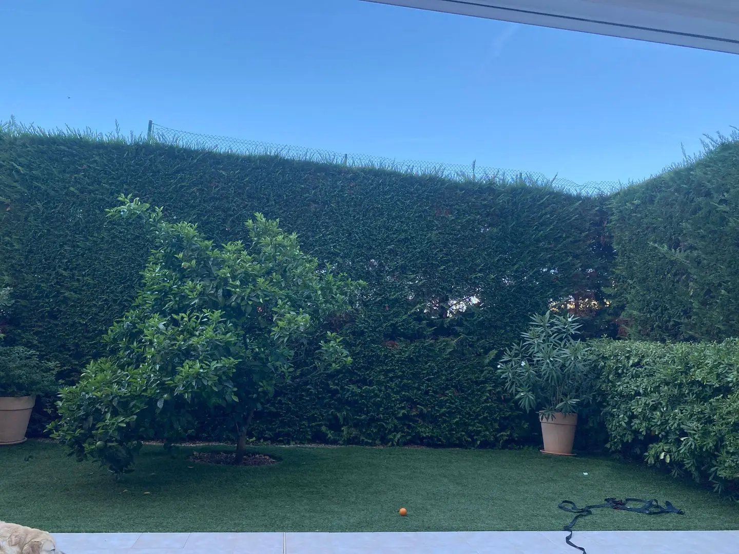 Appartement à louer, 47m², Cannes