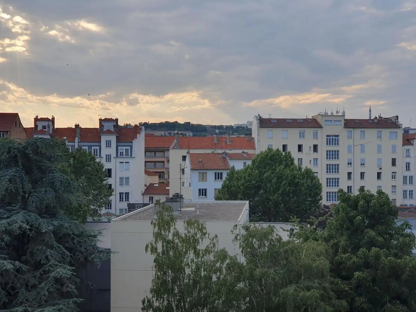 Appartement à louer, 56m², Lyon 7ème