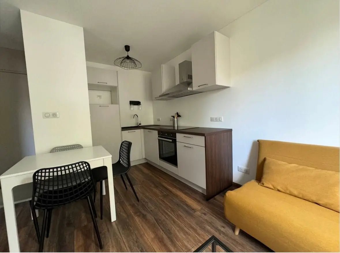 Appartement à louer, 30m², Nancy