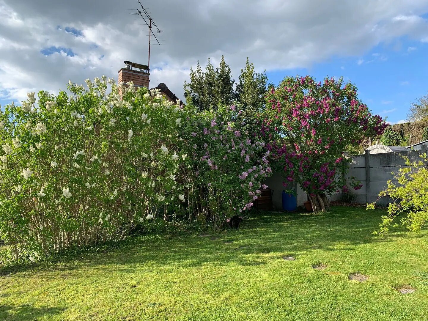Maison à vendre, 82m², Albert