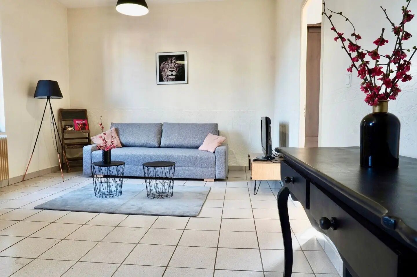 Appartement à louer, 45m², Villeurbanne