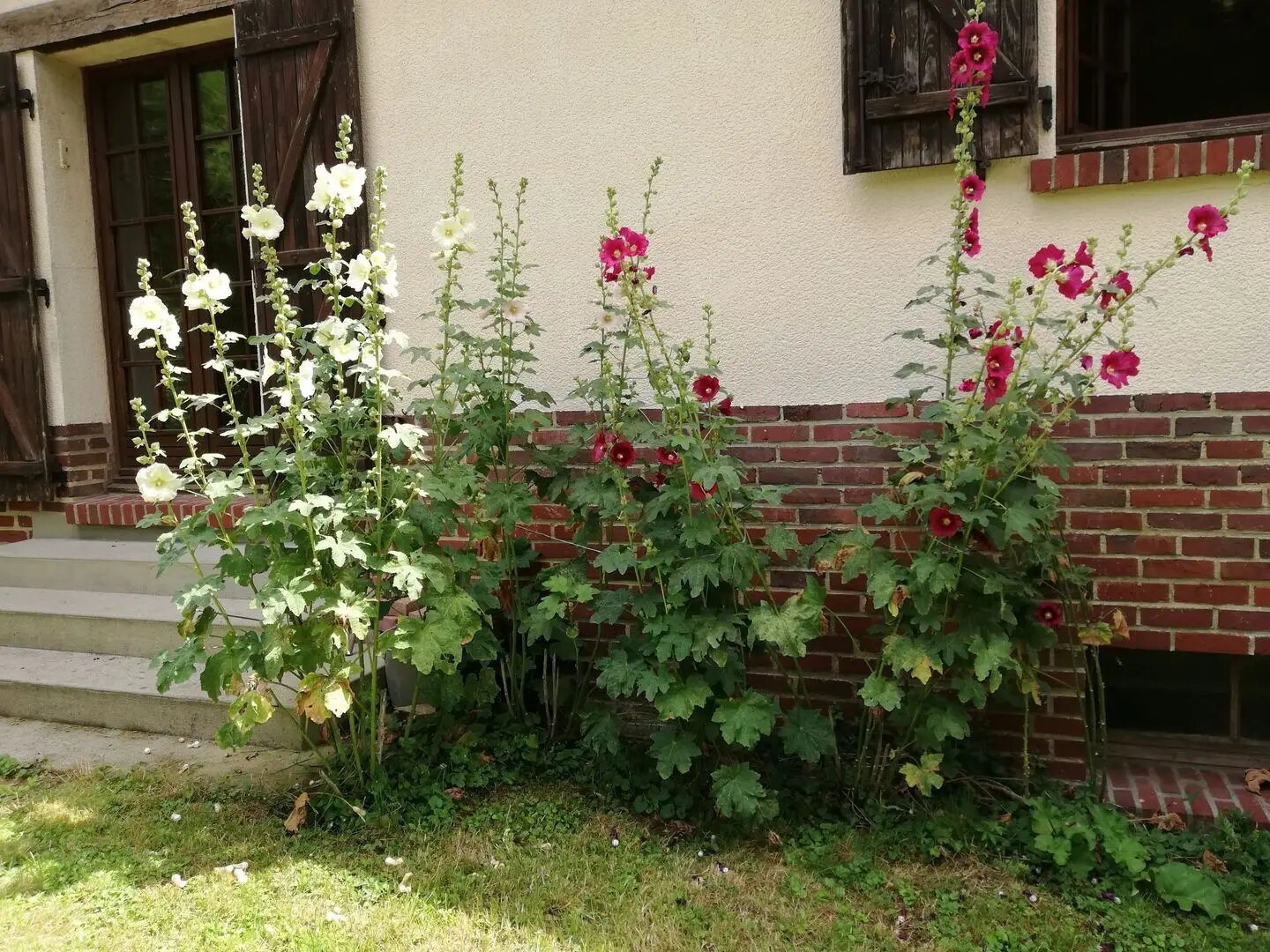 Maison à vendre, 160m², Amiens
