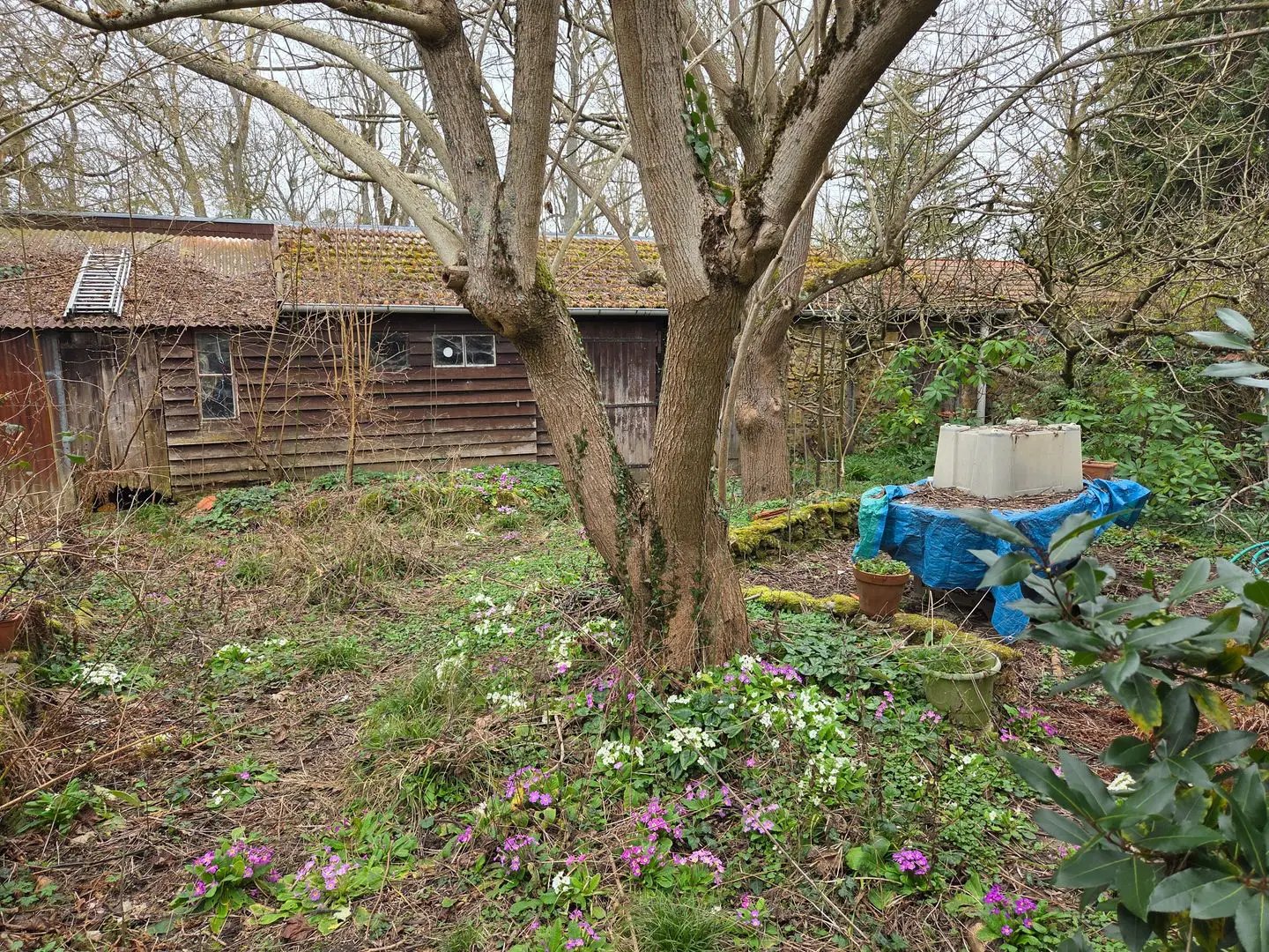 Maison à vendre, 100m², Les Loges-en-Josas