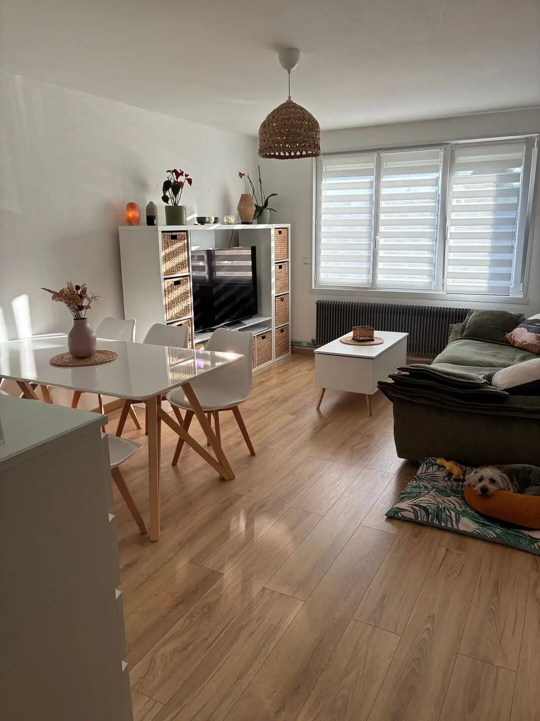 Appartement à louer, 48m², Calais