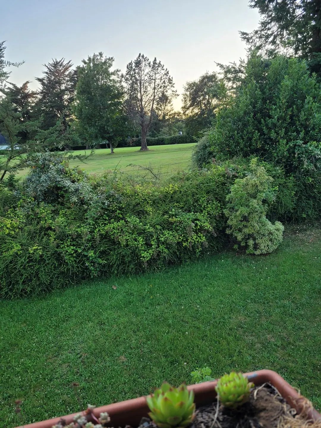 Maison à vendre, 150m², La Forêt-Fouesnant