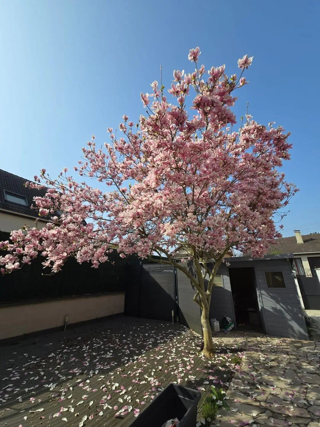 Maison à louer, 170m², Rosny-sous-Bois