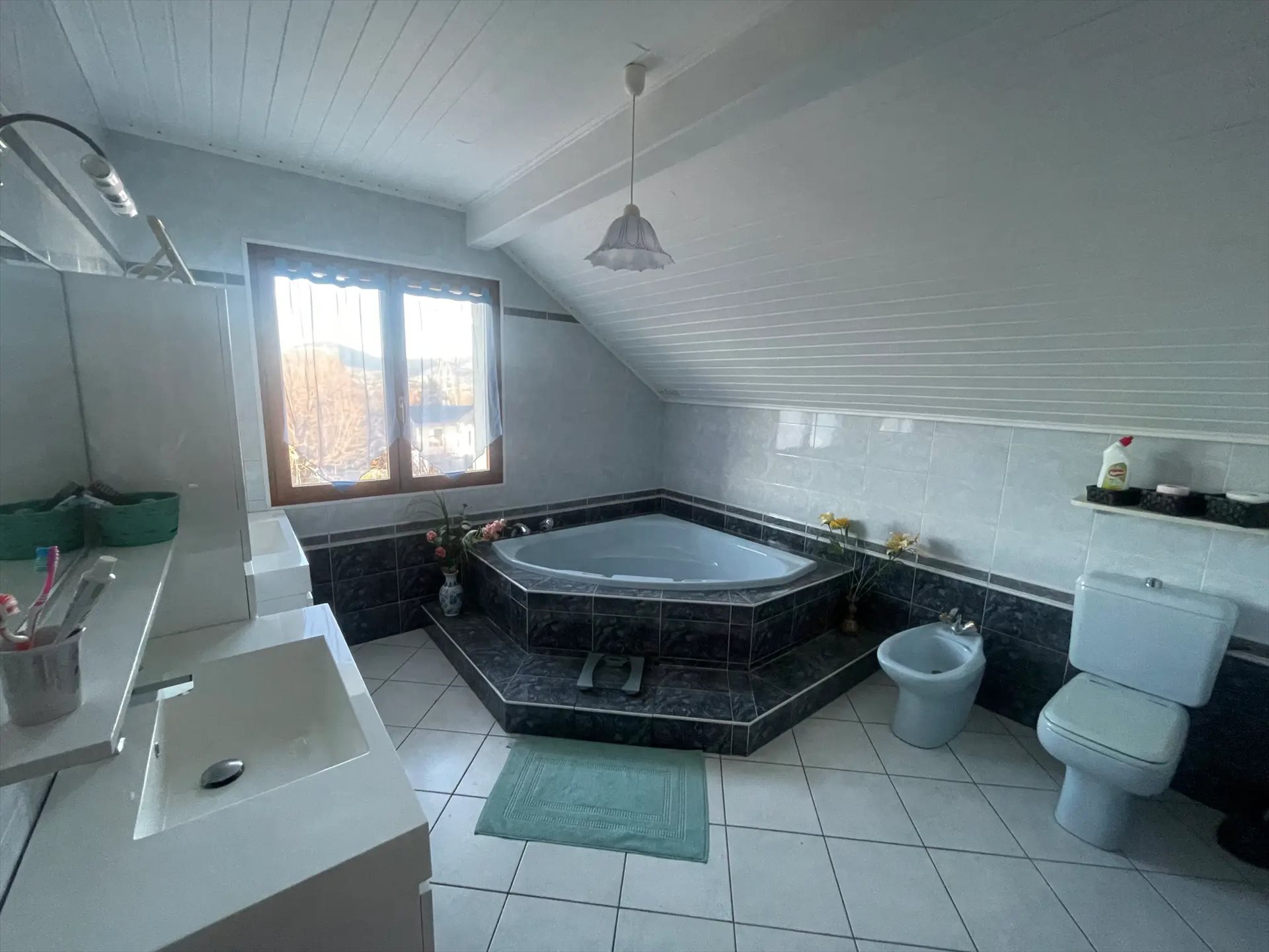 Maison à vendre, 174m², Annecy