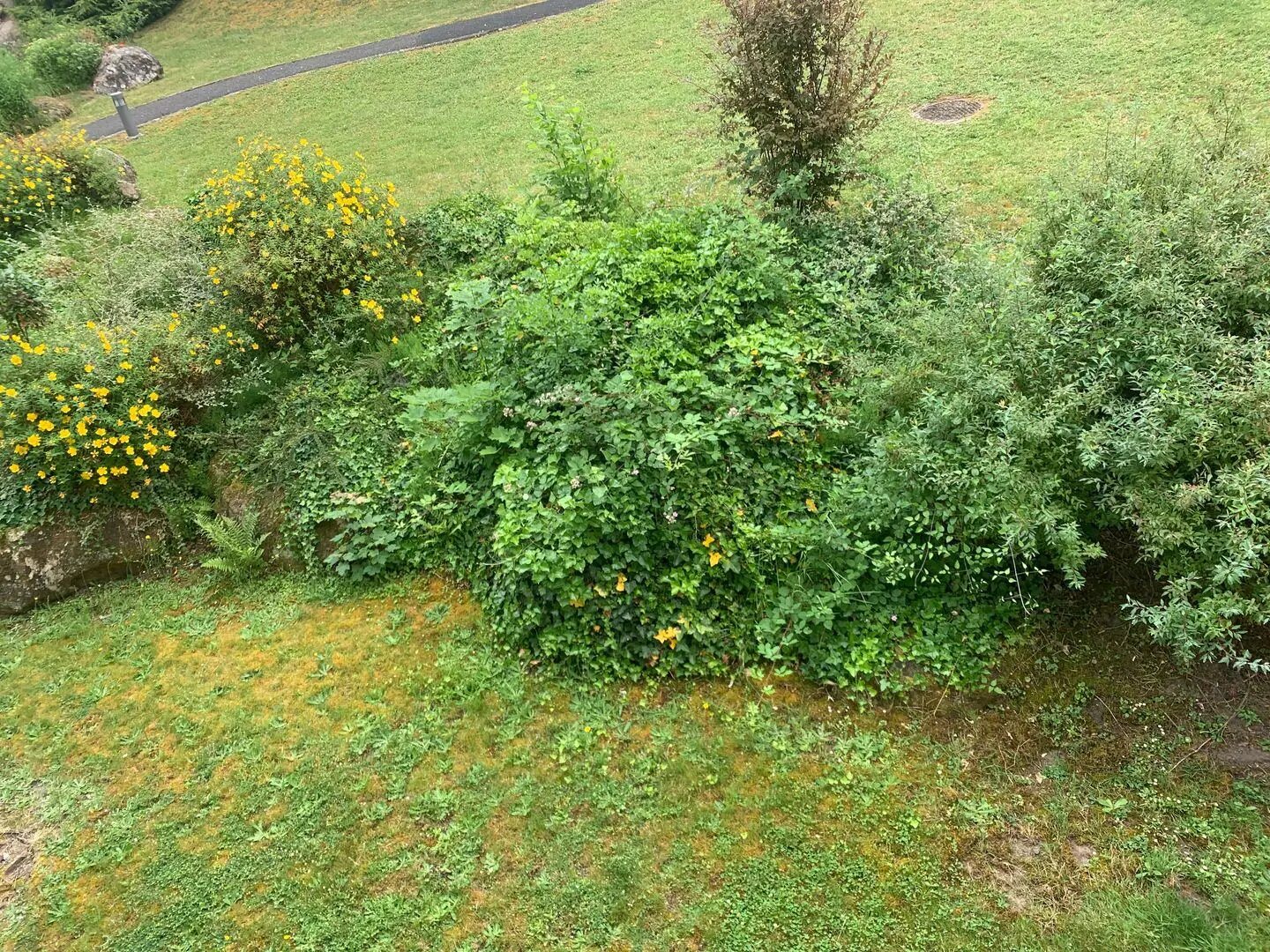 Appartement à louer, 50m², Avon