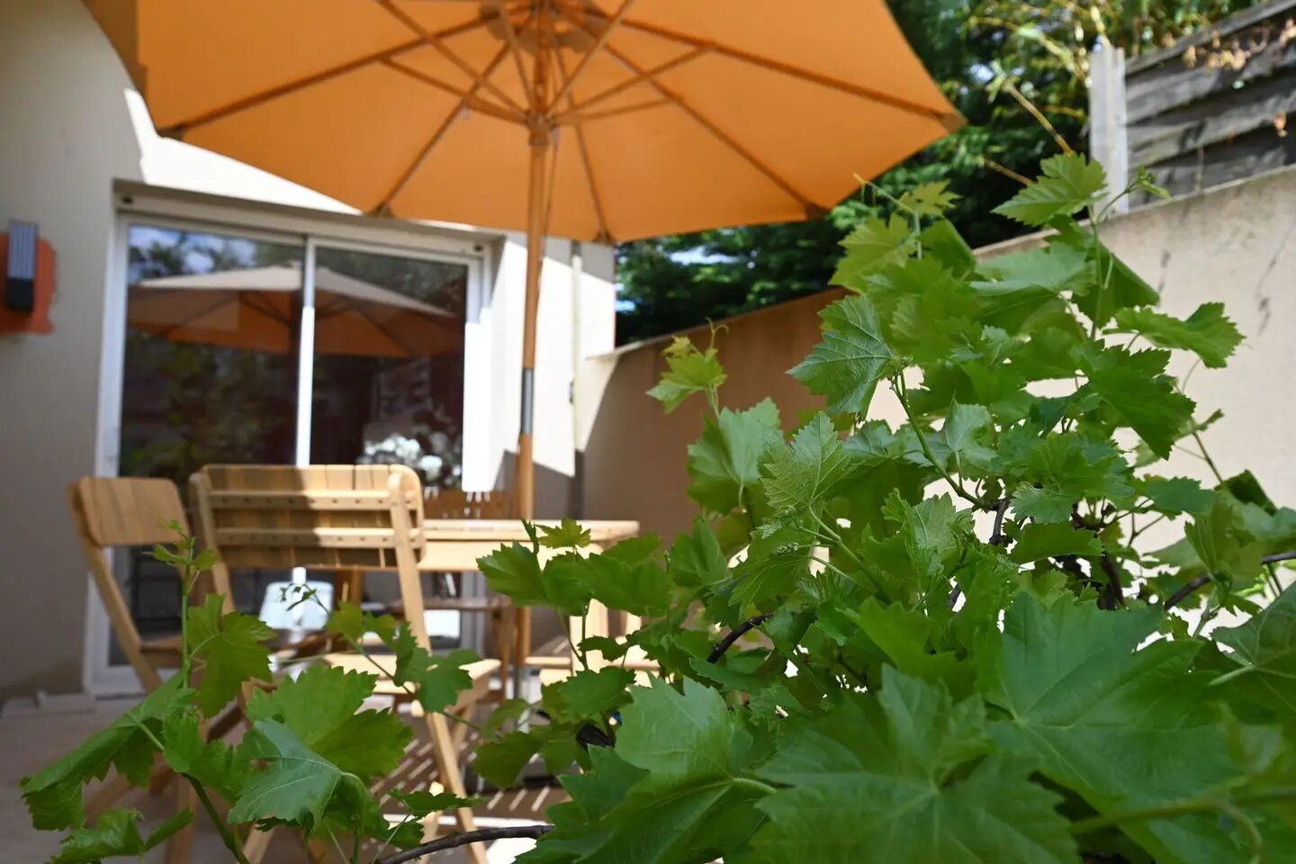 Maison à louer, 42m², Blagnac
