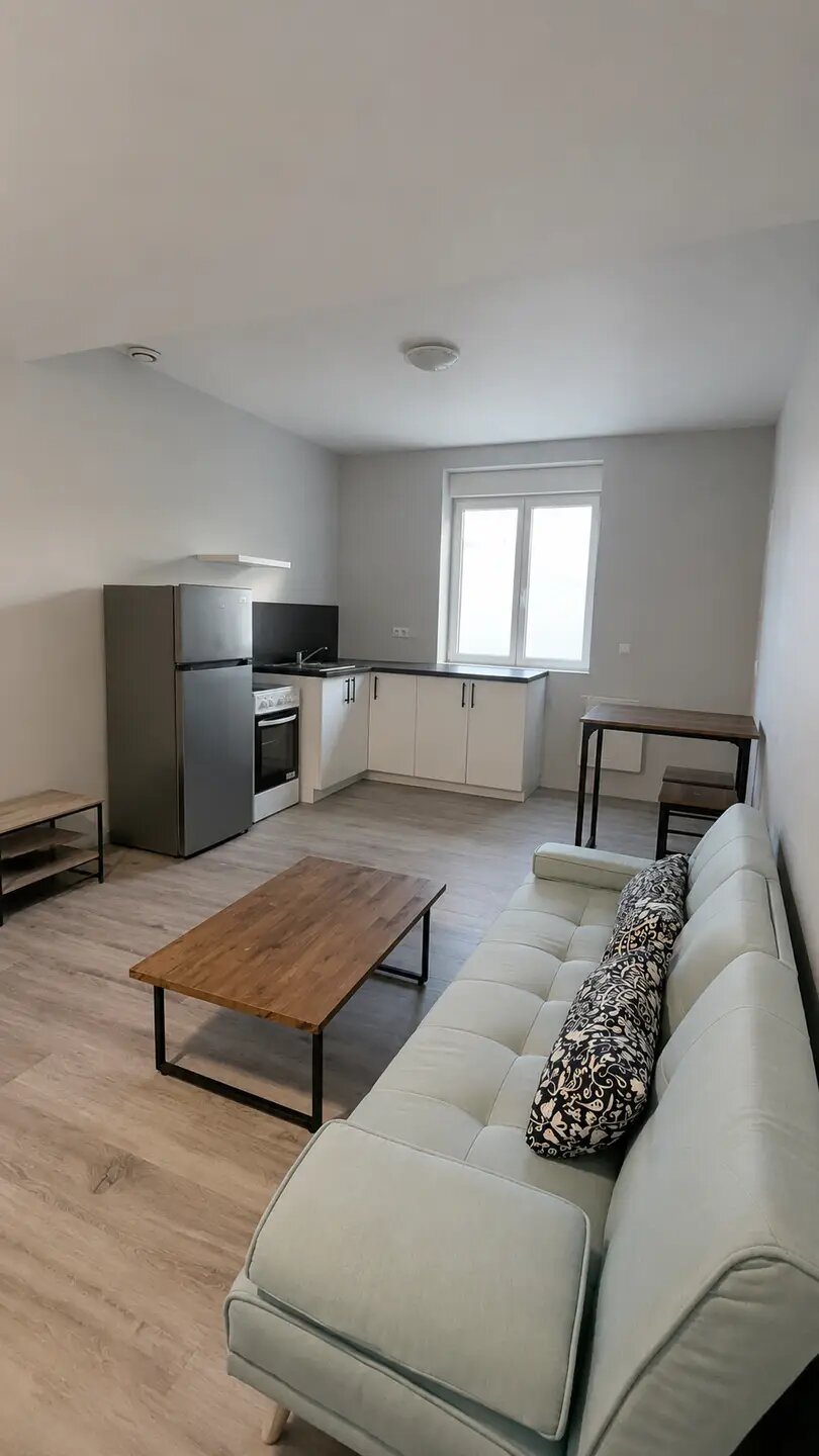 Appartement à louer, 32m², Saint-Etienne
