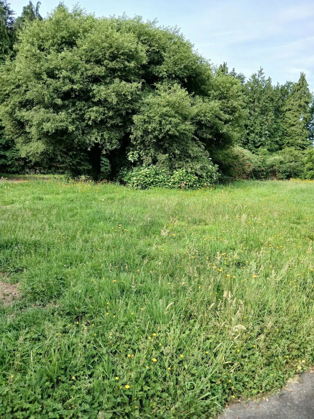 Maison à vendre, 150m², Gouesnach