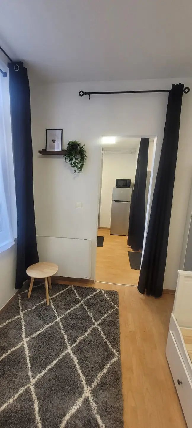 Appartement à louer, 20m², Lille