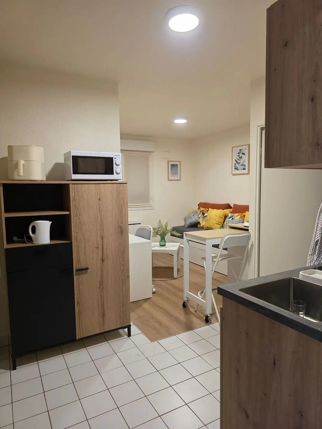 Appartement à louer, 19m², Lyon 7ème