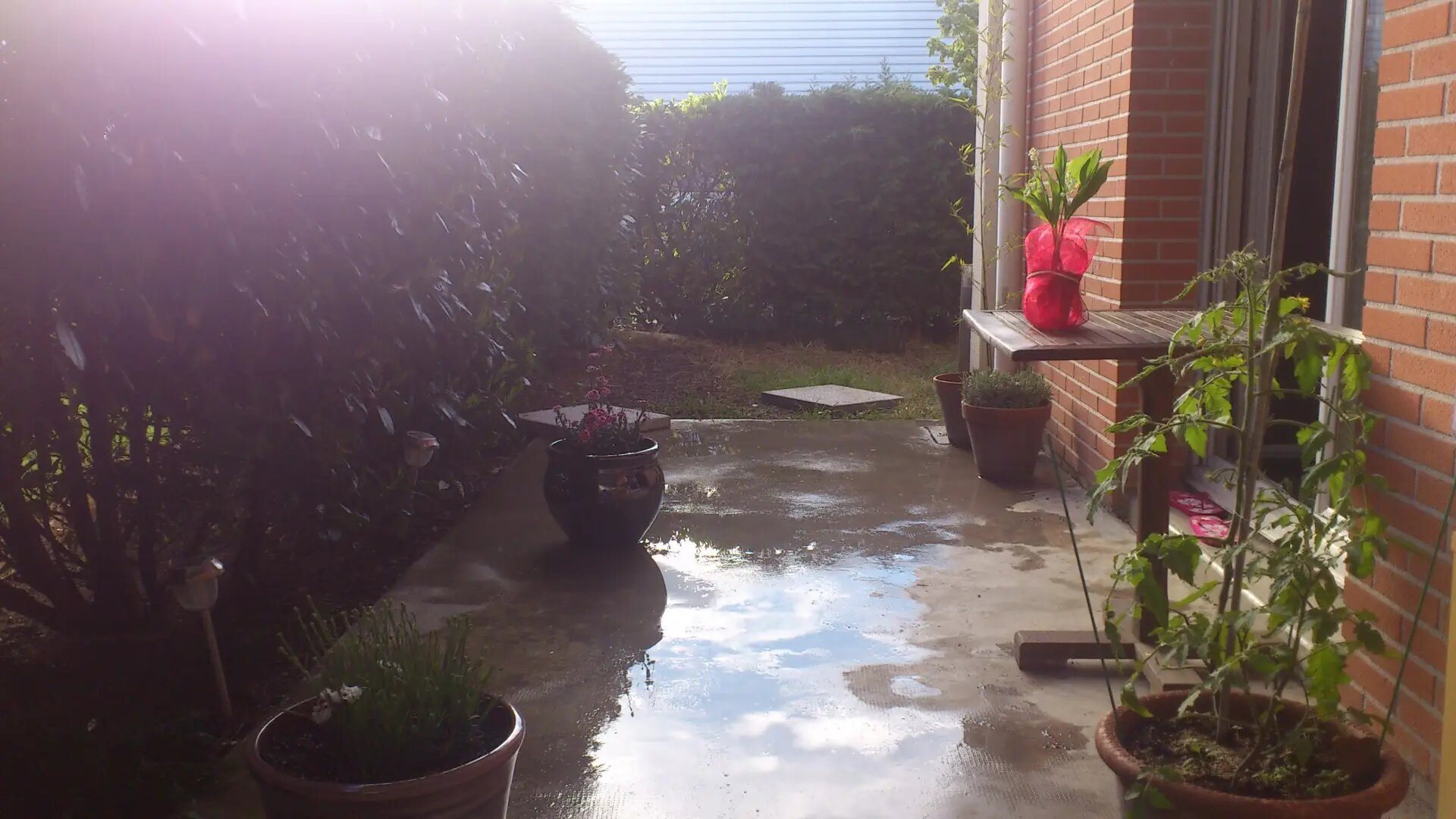 Appartement à louer, 52m², Toulouse