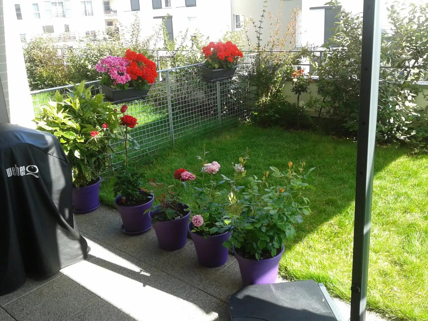 Appartement à louer, 42m², Bagneux