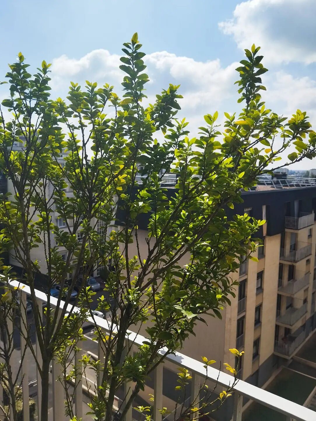 Appartement à louer, 11m², Orléans