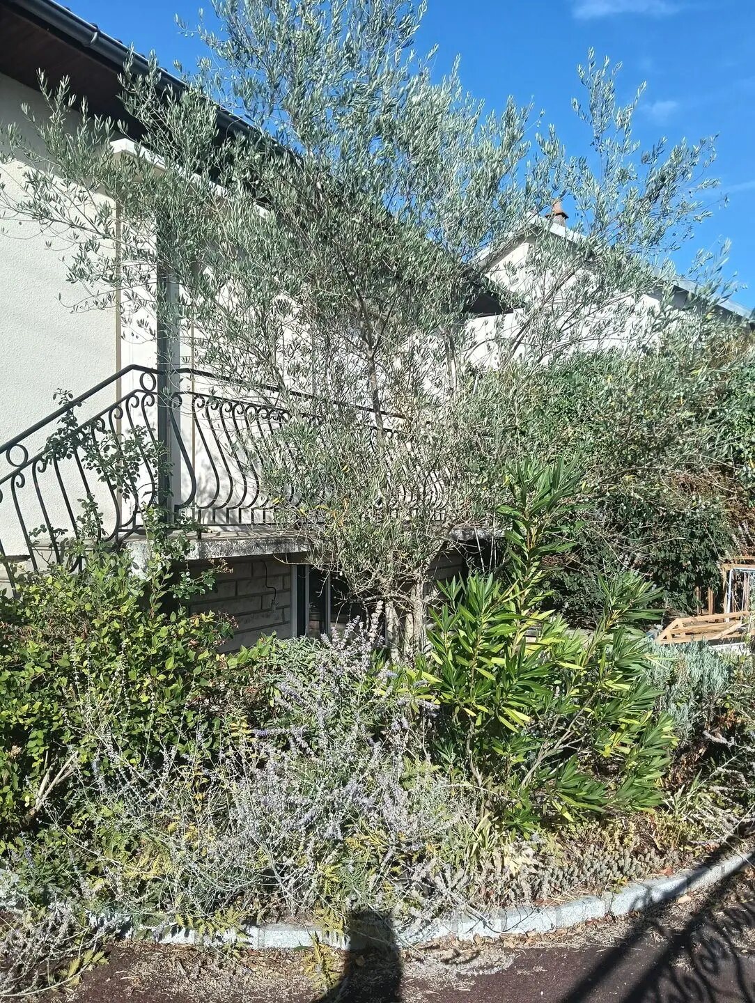 Maison à vendre, 68m², Saint-Georges-lès-Baillargeaux