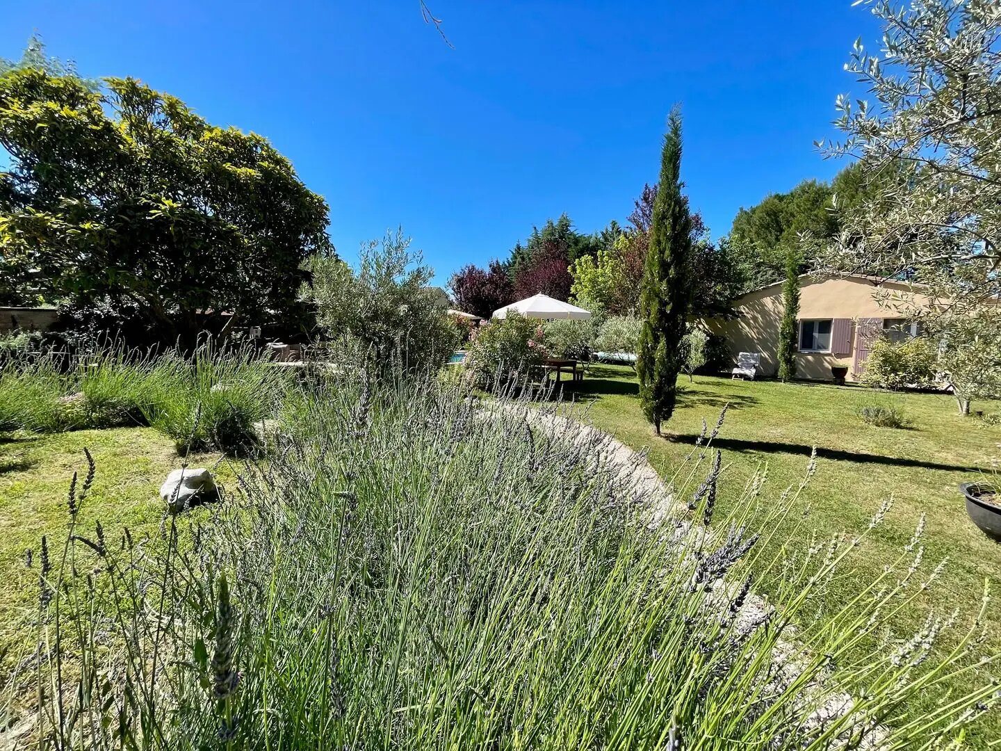 Maison à vendre, 330m², Bédoin